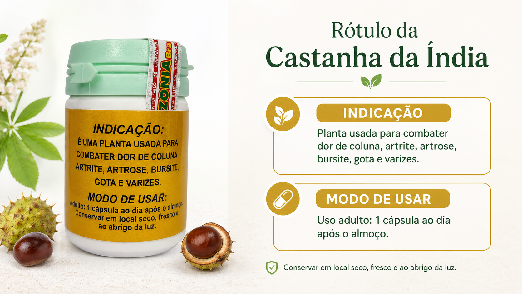 Imagem informativa do rótulo da Castanha da Índia, com frasco do produto em destaque, indicação para dor de coluna, artrite, artrose, bursite, gota e varizes, modo de usar 1 cápsula ao dia após o almoço e conservação em local seco e fresco.